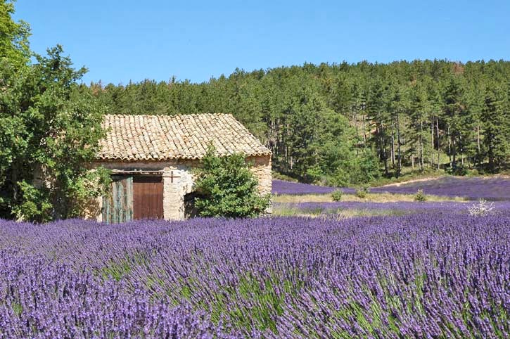 région Provence